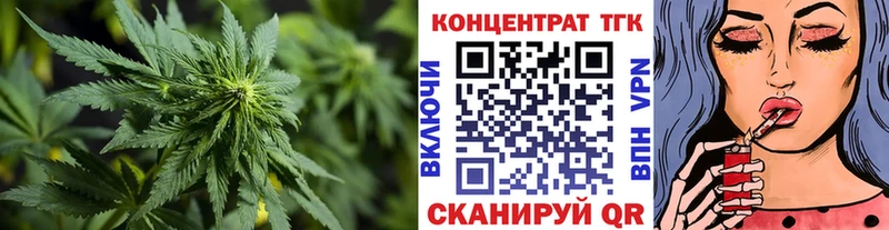 дарнет шоп  Котлас  мега вход  ТГК вейп 
