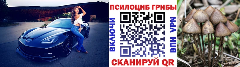 darknet состав  как найти закладки  Котлас  Псилоцибиновые грибы Psilocybe 